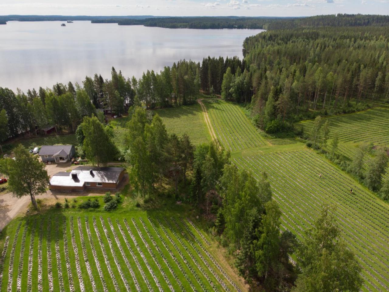 Hiekkarannanlomat Villa Kannonkoski Bagian luar foto